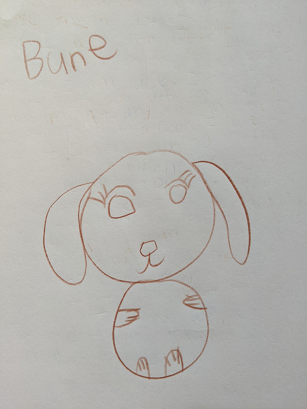 A drawing of a bunny with floppy ears and eyelashes.